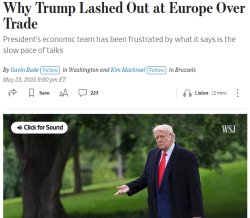 trump moron Meme Template