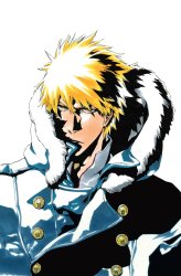 Cool ichigo Meme Template