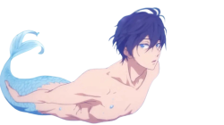 haru merman Meme Template