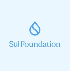 Sui Foundation Logo Meme Template