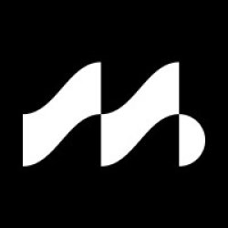 Mysten Labs Logo Meme Template