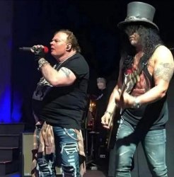 Guns & Roses old Meme Template