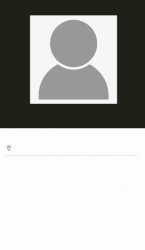 fake dating profile Meme Template