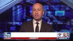 stephen miller blank Meme Template