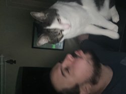 Cat and beard man Meme Template