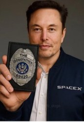 Elon Musk DOGE Meme Template