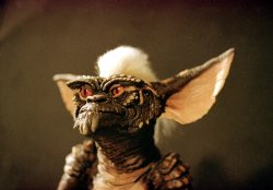 Gremlin Stripe Meme Template