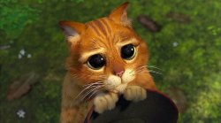 Puss in boots Meme Template