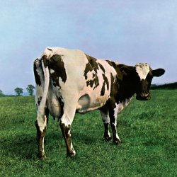 Back Side Of The Moo Meme Template