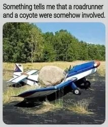 Plane and rock Meme Template