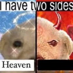 I have two sides dog Meme Template