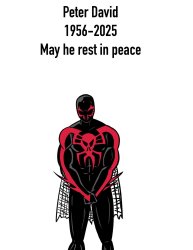 Sad spider man 2099 Meme Template