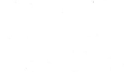 White bix Meme Template