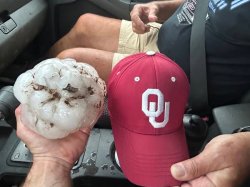 Huge hailstone in Texas size of a man's head Meme Template
