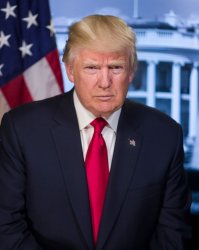 President Trump Meme Template