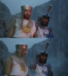 How do you know so much about swallows Meme Template