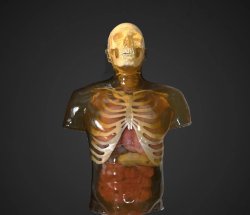 ballistic gel torso dummy Meme Template
