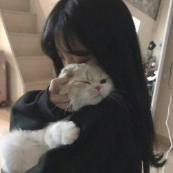 Cat with girl Meme Template