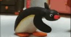 funny penguin Meme Template