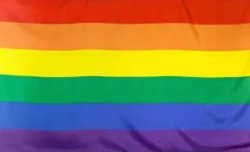 pride flag Meme Template