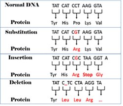 Mutations Therepy Meme Template