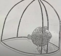 Self-imprisoned bird Meme Template
