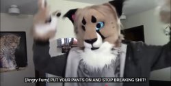 Angry Furry Meme Template