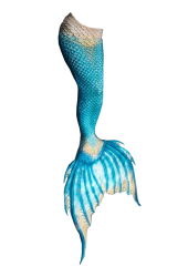 blue tail Meme Template