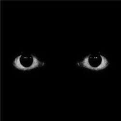 Eyes In the Darkness Meme Template