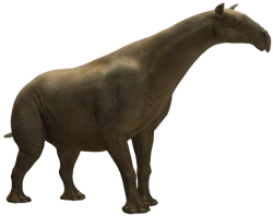 Paraceratherium (JWTG Design) Meme Template