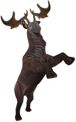 Indricoceros Meme Template