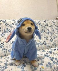 Stitch Dog Meme Template