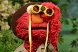 Elmo looking Meme Template
