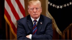 Him haz a sad Meme Template