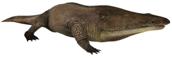 Metoposaurus (JWTG Design) Meme Template