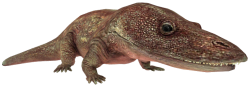 Eryops (JWTG Design) Meme Template