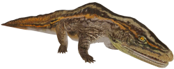 Proterogyrinus (JWTG Design) Meme Template