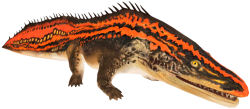 Level 40 Proterogyrinus Meme Template