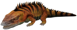Level 40 Seymouria Meme Template
