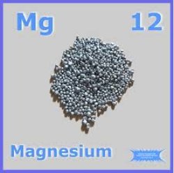 Magnesium Meme Template