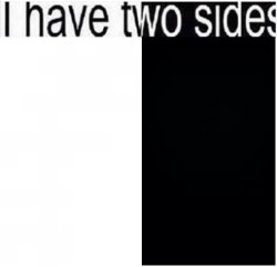 I have 2 sides Meme Template