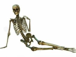 sexy skeleton Meme Template