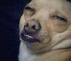 Ick Dog Meme Template