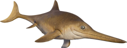 Ichthyosaurus (JWE Design) Meme Template