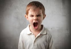 Angry kid Meme Template