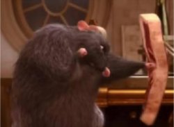 Rat punching meat Meme Template