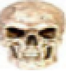 Very low quality skull Meme Template