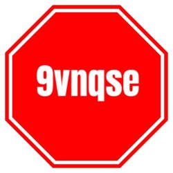 9vnqse Meme Template