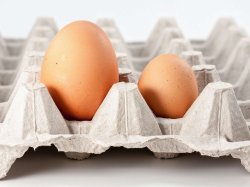 Egg Shadow Meme Template