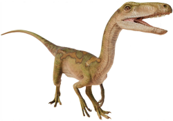 Segisaurus (JWE Design) Meme Template